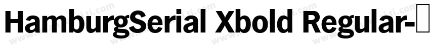 HamburgSerial Xbold Regular字体转换
